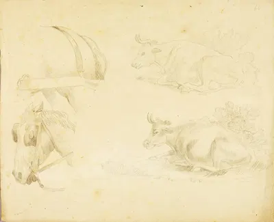 Studies – 2 cows, horse by William Page — digital art print download