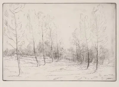 Avenue of Poplars by Alphonse Legros — digital art print download