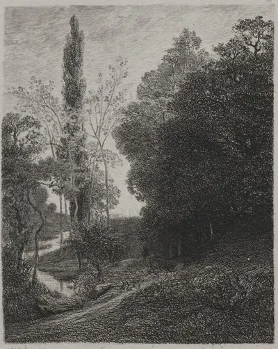 Banks of the River Cousin by Шарль Франсуа Дюбини, 1850 — digital art print download