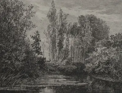 Stags at the water's edge by Шарль Франсуа Дюбини, 1850 — digital art print download