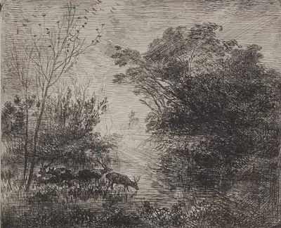 Stags by Шарль Франсуа Дюбини, 1862 — digital art print download