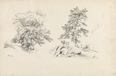 Chestnut and Pine by David Johnson, 1869 — digital art print download