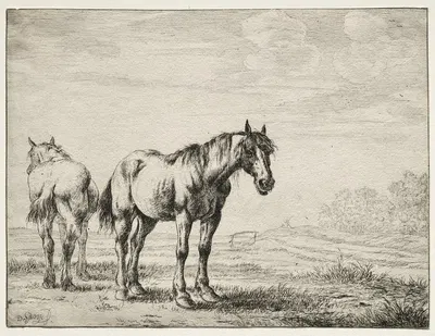 Two plough horses by Dirck Stoop — digital art print download