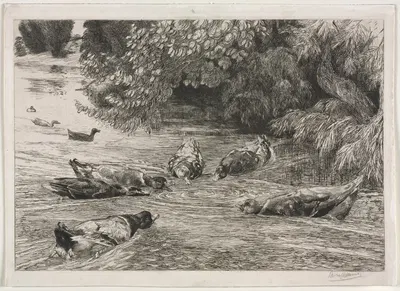 The Question Mark by Феликс Браккемонд, c. 1865 — digital art print download