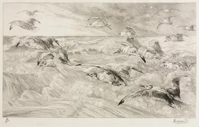 The Seagulls by Феликс Браккемонд, c. 1880 — digital art print download
