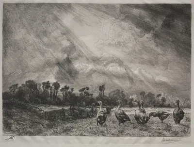 The Storm Cloud by Феликс Браккемонд, 1878–1887 — digital art print download