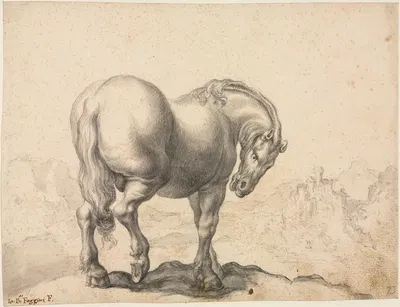 Study of a Stallion by Giovanni Battista Foggini — digital art print download
