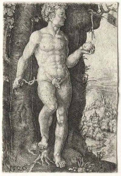 Adam by Якоб Бинк, 1526 — digital art print download