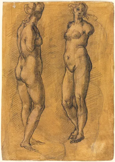 Antique Statue of a Standing Woman (two views), over a Sketch of a Putto by Jacopo Chimenti — digital art print download