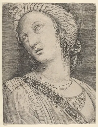 Bust of a woman with her head turned to the left by Jacopo de' Barbari — digital art print download