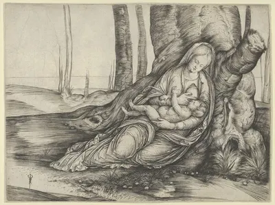 The Madonna nursing the Christ Child at the foot of a tree by Jacopo de' Barbari — digital art print download