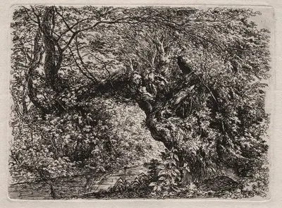 The Old Willow at a Brook by Иоганн Георг фон Диллис, 1794 — digital art print download