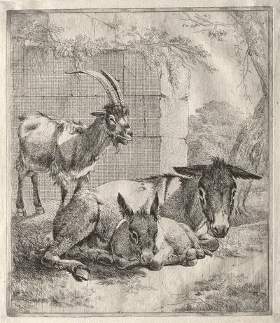 Goat and Donkeys by Иоганн Генрих Роос — digital art print download