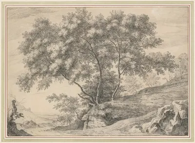 A Clump of Trees on a Rocky Outcrop by John Claude Nattes — digital art print download