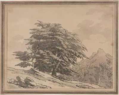 Cedar by Джон Роберт Козенс, 1789 — digital art print download