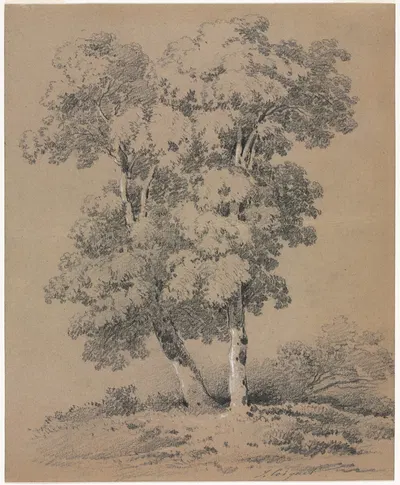 Tree Study by Jules Coignet — digital art print download