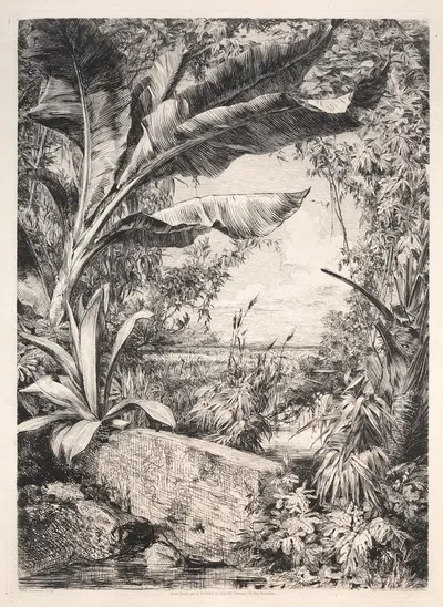 Plants of the Greenhouse by Жюль-Фердинанд Жаккмар, 1872 — digital art print download