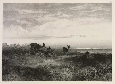 Пейзаж с оленями by Карл Бодмер, c. 1840 — digital art print download