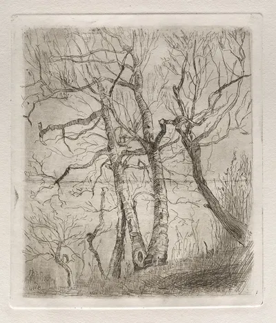 Деревья by Отто Генри Бахер, 1878 — digital art print download