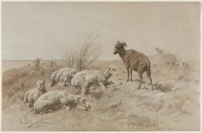 Sheep by Rosa Bonheur, 1861 — digital art print download