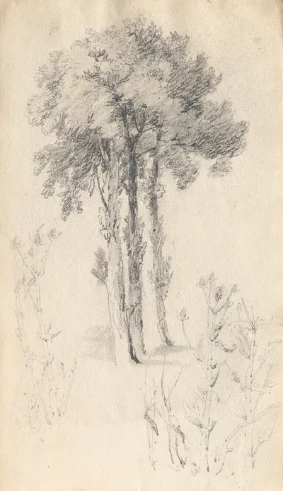 Tree Study by Samuel Prout, 1814 — digital art print download