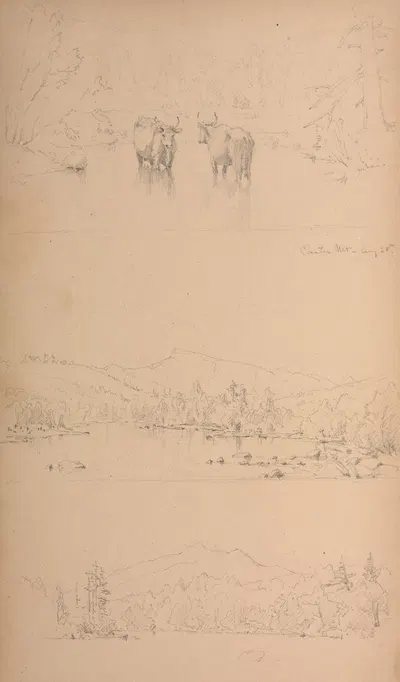 Carter Mt by Сэнфорд Робинсон Гиффорд, 1859 — digital art print download