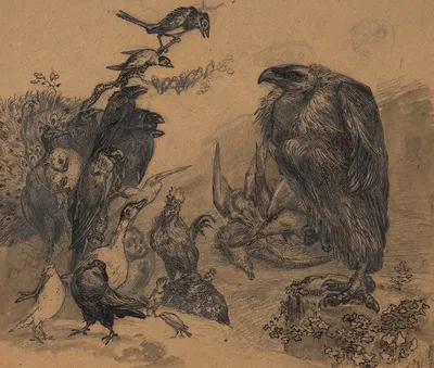 Birds of prey devouring their prey in front of a crowd of envious birds by Феликс Браккемонд — digital art print download