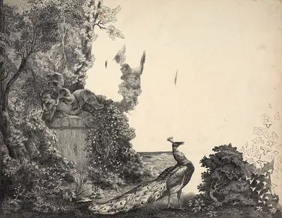 Peacock and statue of a child in a landscape by Феликс Браккемонд, 1855 — digital art print download