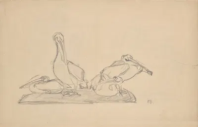 Entwurf zu einer Pelikangruppe by Франц Барвиг Старший, 1905 — digital art print download