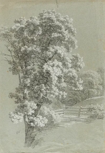 Baumstudie by Генрих Ритер, 1796 — digital art print download