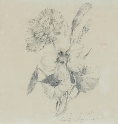 Nelkenblüten und Knospen by Emilie Preyer, 1861 — digital art print download