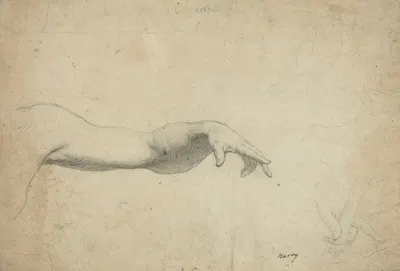 A study of an arm, with subsiduary studies of hands by James Barry — digital art print download