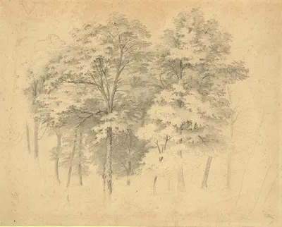Laubwaldbäume by Тина Блау, 1870 — digital art print download