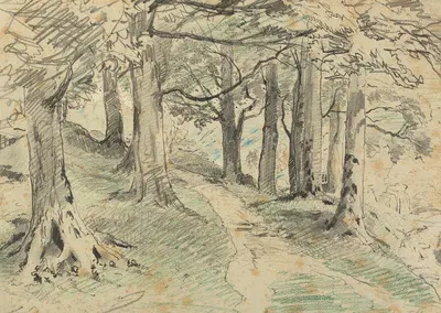 Waldinneres by Тина Блау, 1880-1890 — digital art print download