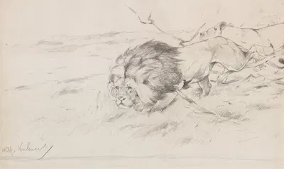 Löwenpaar auf der Pirsch by Вильгельм Кунерт, 1900 — digital art print download