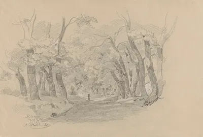Alley of Trees in Albano by Arthur Blaschnik, 1856 — digital art print download