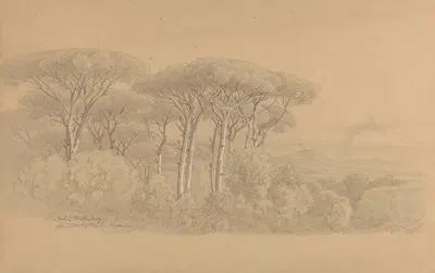 Stone Pines in the Gardens of Villa Barberini in Albano by Arthur Blaschnik, 1857 — digital art print download