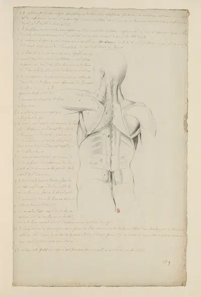 Cahiers d'Anatomie Pl.08 by Charles Monnet — digital art print download