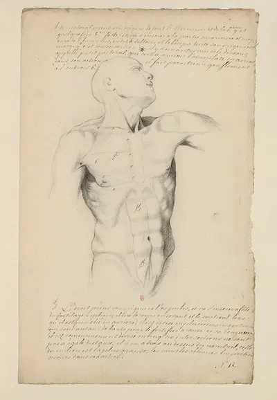Cahiers d'Anatomie Pl.11 by Charles Monnet — digital art print download