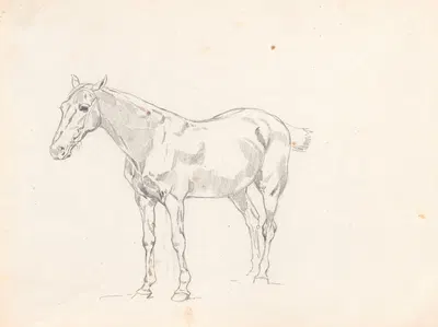 Horse, study for the painting “Return from the horse fair” 3 by Йозеф Брандт, 1881 — digital art print download