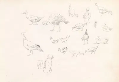 Poultry and a dog by Йозеф Брандт, 1881 — digital art print download