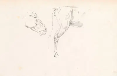 Study of a horse’s head and back by Йозеф Брандт, 1880 - 1883 — digital art print download