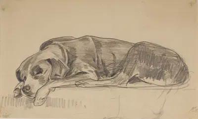 Sleeping dog by Юлиан Фалат, 1900-1906 — digital art print download