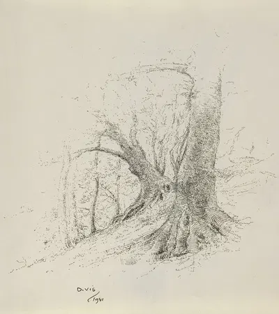 Bergen – Wimmenum – zware bomen aan de duinrand by Дирк Вис, 1941 — digital art print download