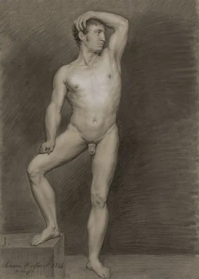 Standing male nude by Адрианус Вулффаерт, 1824 — digital art print download