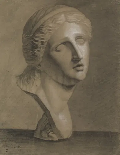 Bust of Niobe by Antonius De Witte, 1835 — digital art print download