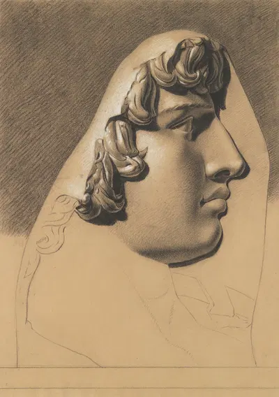 Bas-relief of a head in profile. by Южен Жозеф Вербокховен — digital art print download