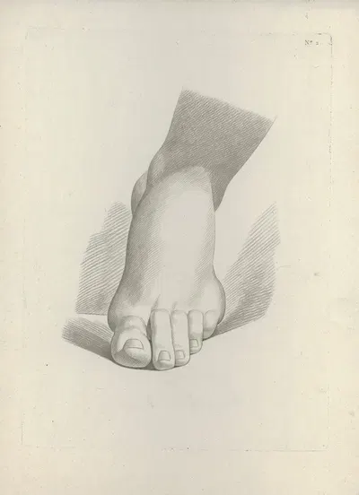 Study of a foot by J. F Cazenave — digital art print download