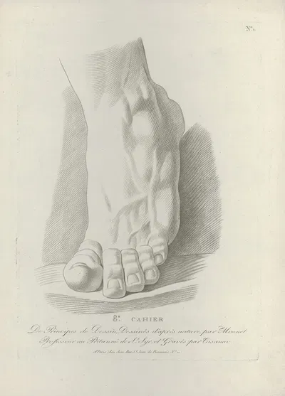 Study of a foot by J. F Cazenave — digital art print download
