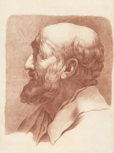 Bust of a bearded man by Joannes Zegers, 1776 — digital art print download